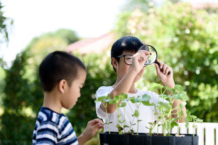 Selective focus at young asian Thai boy interesting in young plant seedling growing from soil and...