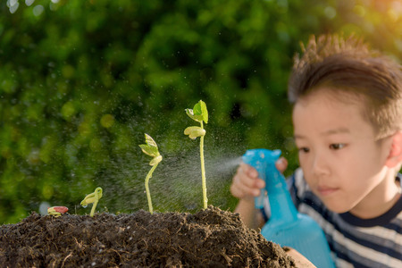 Selective focus at plant, Young Thai boy spray water to little seedling on the black soil in the garden. Earth day concept.の写真素材