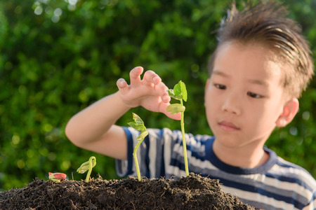 Selective focus at hand, Young Thai boy planting little seedling on the black soil in the garden....