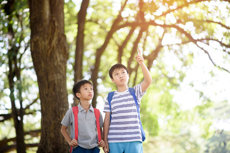 Preteen Asian boy travel in a forest in summer and learn about nature and tree.の写真素材