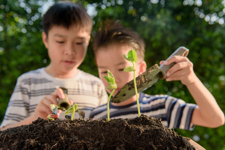 Selective focus at hand, Young Thai boy planting little seedling on the black soil in the garden. Earth day concept.の写真素材