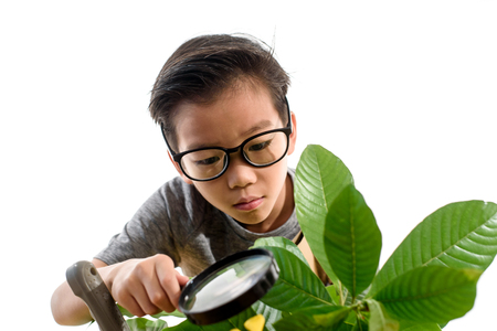 Young Asian Thai boy checking at small plant in a white room. Earth day concept.の写真素材
