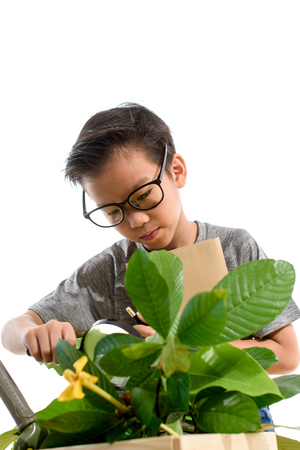 Young Asian Thai boy checking at small plant in a white room. Earth day concept.の写真素材
