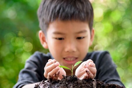 Thin focus on hand, Child holding young seedling plant in hands on green background to plant on...