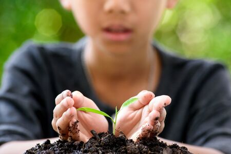 Thin focus on hand, Child holding young seedling plant in hands on green background to plant on soil. Concept Earth dayの写真素材