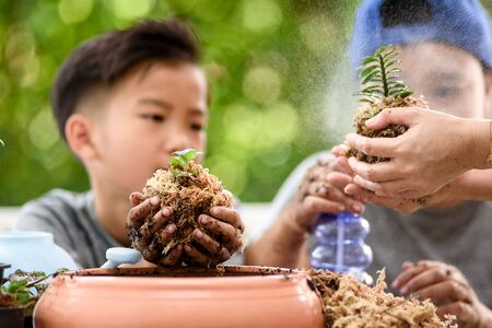 Selective focus on Little seedling plant in black soil on child hand. Earth day concept. in black soil on child hand. Earth day concept.の写真素材