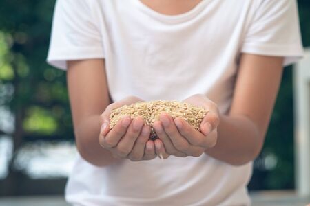 Selective focus at brown rice grain in young kid hand.の写真素材