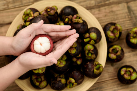Close up a ready to eat mangosteen fruit on on nice hand.の写真素材