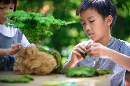 Young Asian boy and girl prepare a sponge rock to make a little garden decorate with fresh green mossesの写真素材