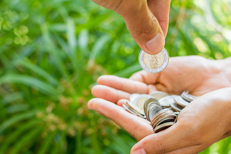 coins in the hands , add coin by little hand nature, background.  save money concept.