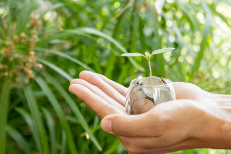 Plant growing from money (coins) in the glass jar held by a man's hands - business and financial metaphor concept,の写真素材