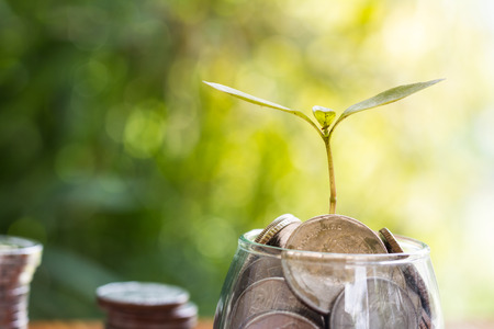 Coins in glass jar with the small tree on top Set , put in a green park background also some coins beside.の写真素材