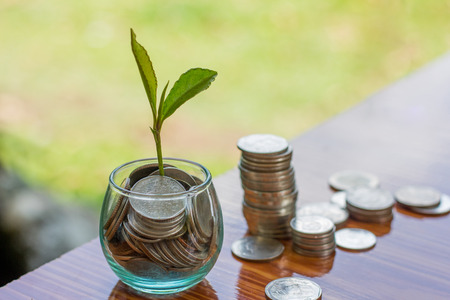 Coin in glass bottle with money stack step up growing growth saving money, Concept financial business investment.,The background is natural green.の写真素材