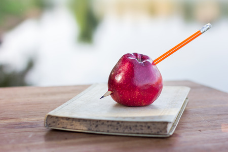 Apple balls placed on books, educational conceptsの写真素材