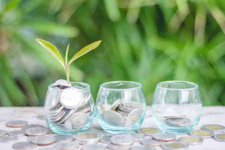 Coins and tree in glass jar Set on wooden plate, Money Saving Ideas and Business Growthの写真素材
