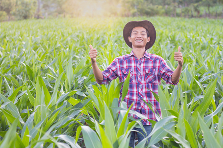 A farmer standing in a cornfield at sunset is watching his crops happily.The success of the farmers.の写真素材
