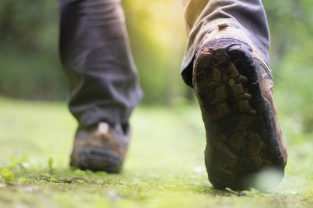 Shoes Man walking on a forest path  and lifestyle hiking. concept Travel hiking.の写真素材