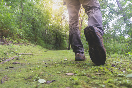 Feet in shoes on a forest path,Hikers boots on forest trail.の写真素材