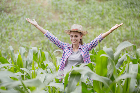 Young farmer happy and put hands up in a corn field, the concept of success.の写真素材