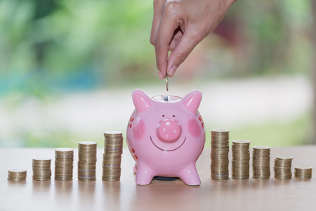 Female hand putting a coin into piggy bank , for invest money, Ideas for saving money for future use, Financial growth and marketing,  Invesment and Risk Management.の写真素材