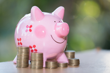 Picky bank and coin, for invest money, Ideas for saving money for future use.の写真素材