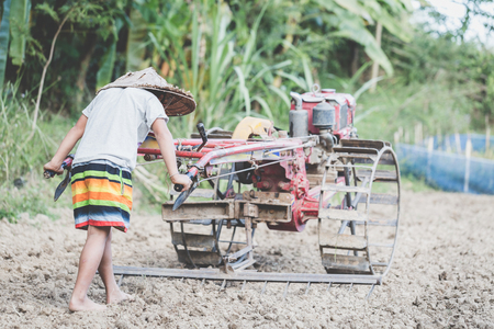 Poor children are forced to work in agricultural areas. Violence child and trafficking concept,Anti-child labor, Rights Day on December 10.の写真素材