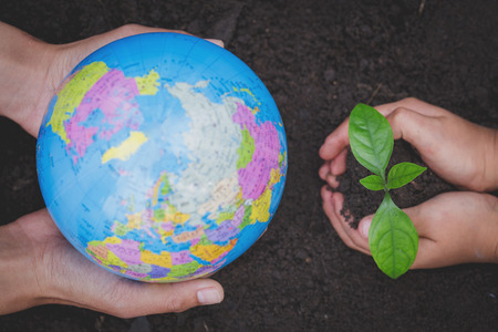 Adults holding a globe and child hand holding a small seedling, plant a tree, reduce global warming, World Environment Dayの写真素材