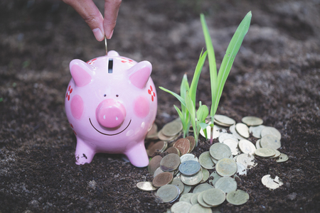 Female hand putting a coin into piggy bank , for invest money, Ideas for saving money for future use, Financial growth and marketing,  Invesment and Risk Management.の写真素材