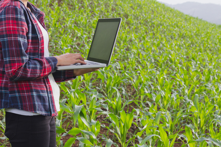 Agronomist analyzing cereals with laptop computer.の写真素材