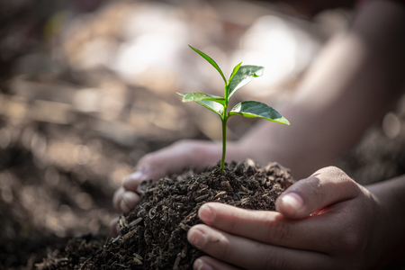 Natural care concepts and world preservation, global warming reduction. World Environment Day.の写真素材