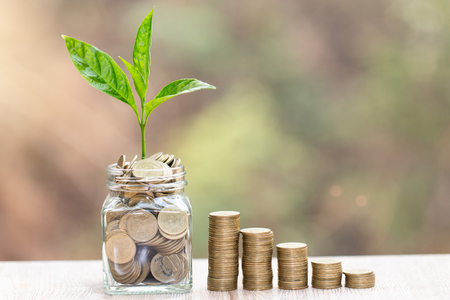 Plant growing in Coins glass jar for money saving and investment financial, concept for business, innovation, growth and money .の写真素材