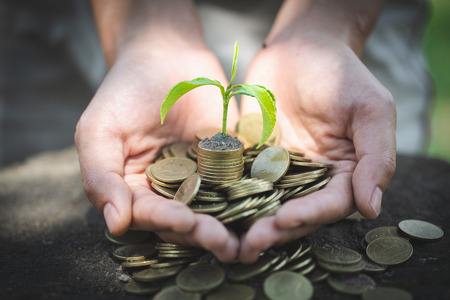 Hand with tree growing from pile of coins, concept for business, innovation, growth and moneyの写真素材