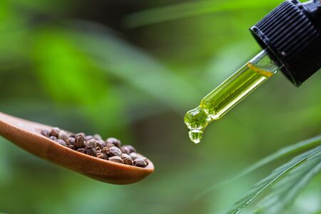 A drop of hemp oil in pipette and hemp seeds in a spoon, natural herb, medical marijuana concept, CBD cannabis oil.の写真素材