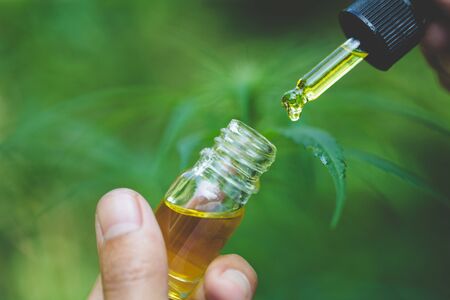 Droplet hemp oil into a glass bottle, CBD Hemp oil, Concept of herbal alternative medicine.Scientific research.の写真素材
