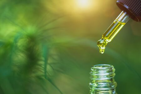 Detail of dropper with CBD oil  onHemp flower background, Cannabis Oil - medical marijuana conceptの写真素材