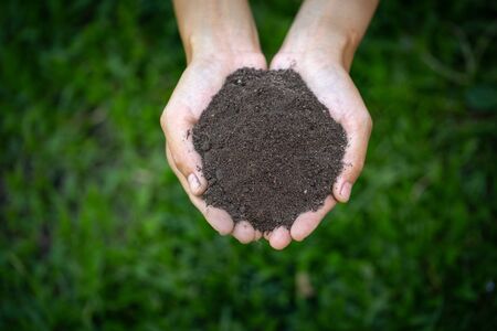 Top view. Farmer holding soil in hands.  The researchers check the quality of the soil. ...