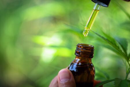 Hand holding bottle of Cannabis oil in pipette, CBD cannabis OIL, natural herb, hemp product, medical marijuana concept.の写真素材