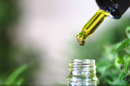 Hemp oil drops details,  herb, medicine, drip, bio-medicine and ecologycbd oil from medical extractionの写真素材