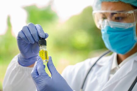 doctor is researching hemp oil. Cannabis Herb Research, Medical marijuana, CBD hemp oil research.の写真素材