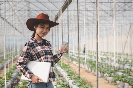Asian woman farmer using tablet and notebook for research and check the quality of the melon tree in the  greenhouse.の写真素材