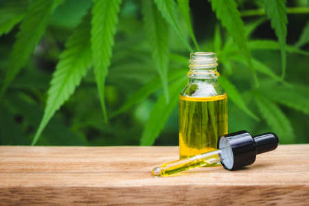 CBD oil hemp products,  Medical cannabis concept.