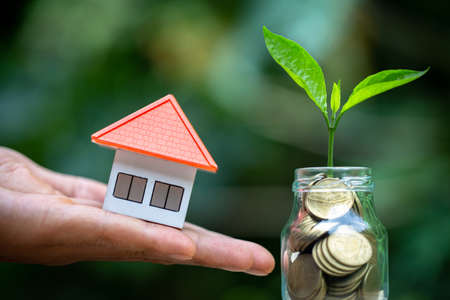 Model house in human hands and Tree grows from a pile of coins, Real estate investment, sustainable...