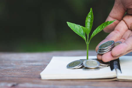 Hand giving a coin to a tree growing from pile of coins.Financial accounting, Investment Concept.