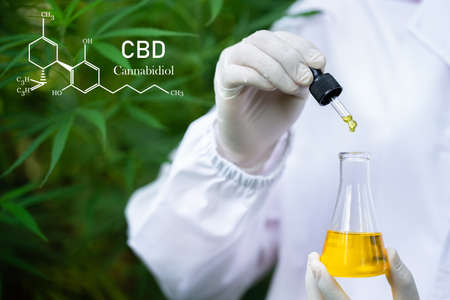 formula CBD cannabidiol, droplet dosing a biological and ecological hemp plant herbal pharmaceutical,   medical marijuana and oil, alternative remedy or medication,  medicine conceptの写真素材