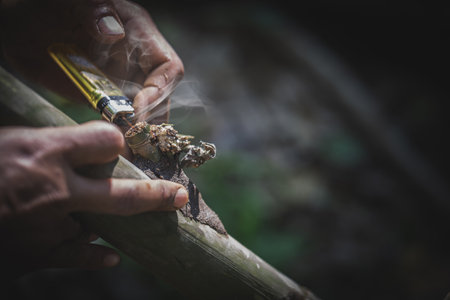 The hand of a drug addict is taking marijuana. substance abuse, addiction and bad habits concept.   Stop drug addiction concept.  International Day against Drug Abuse.の写真素材
