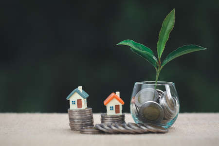 House placed on coins. The tree grows on coins.  planning savings money of coins to buy a home concept for property, mortgage and real estate investment.の写真素材