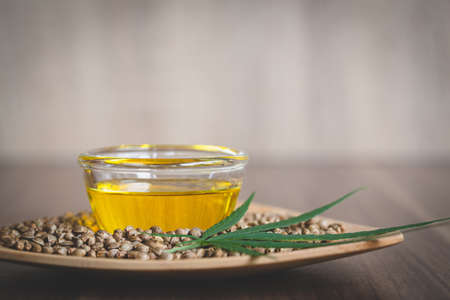 Hemp oil extracted in a bowl placed near the seeds and leaves. Composition of extraction. Organic herbal medicinal products. Treatment of disease. Alternative medicine.の写真素材