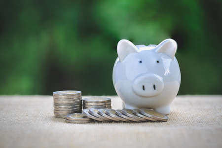 white pig piggy bank and a pile of coins. nature background The concept of saving money. investment...