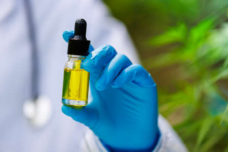 Hand holding bottle of Cannabis oil in pipette, Hemp oil, medical marijuana concept, CBD cannabis...