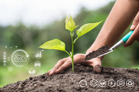 Trees grow in human hands. Hand planting trees with technology of renewable resources to reduce pollution ESG icon concept in hand for environmental, social and sustainable business governance.の写真素材